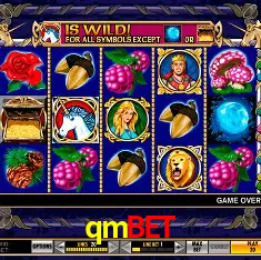 qmbet Rio de Janeiro - Bonus Terms